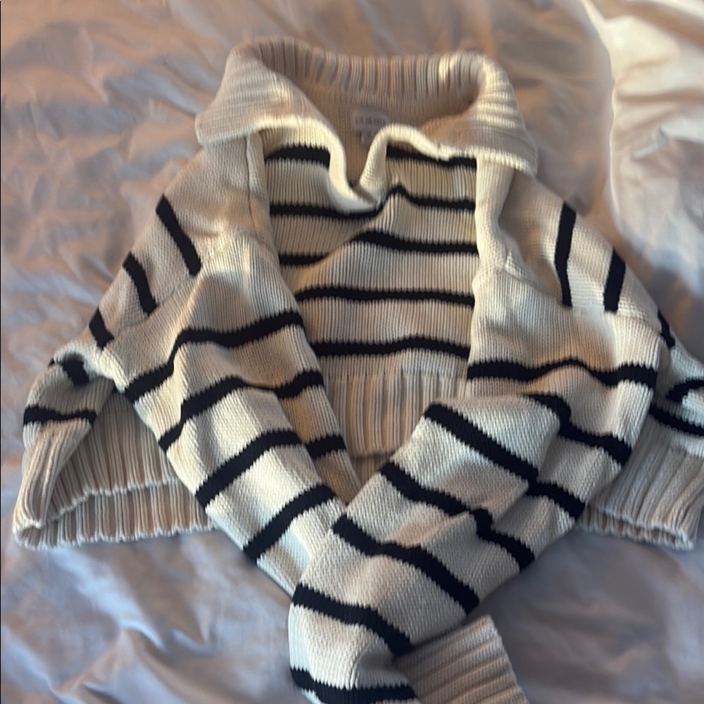 Elegant Black and White Striped Turtleneck Sweater